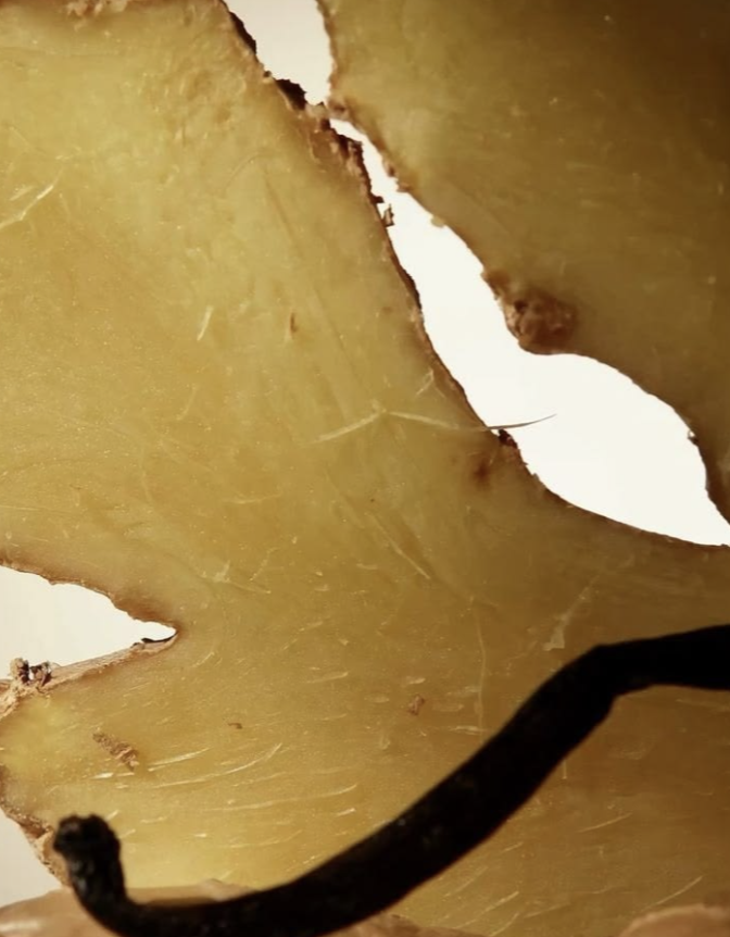 Citrus peel close-up