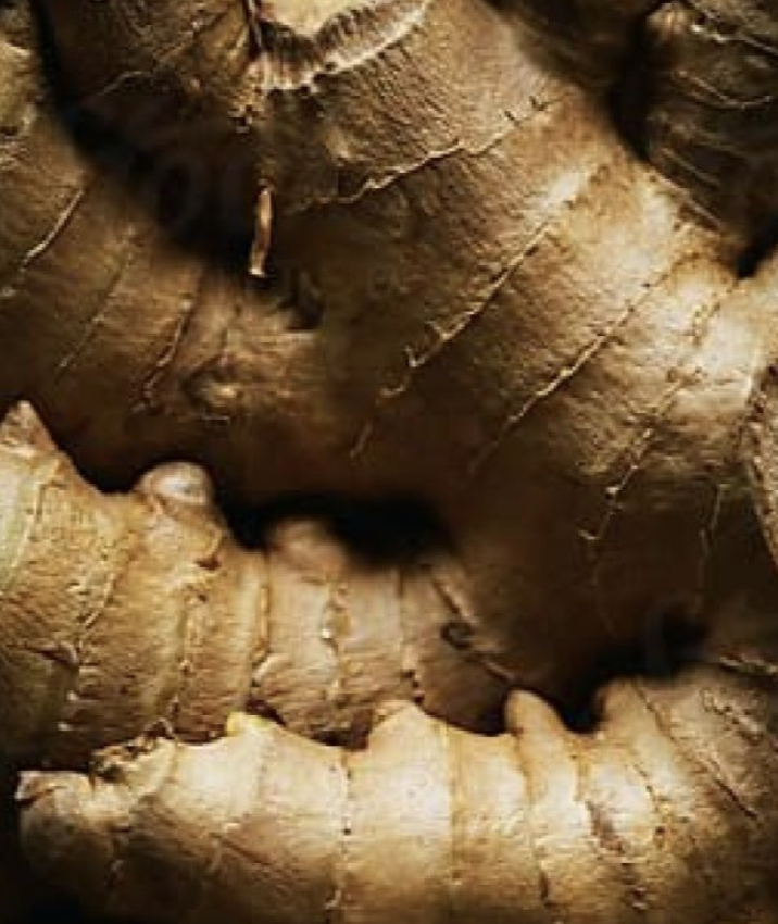 Ginger root close-up
