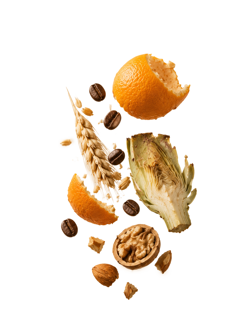 Plant biomass — orange peel, coffee beans, wheat, artichoke, walnut shells, almonds — floating in studio light